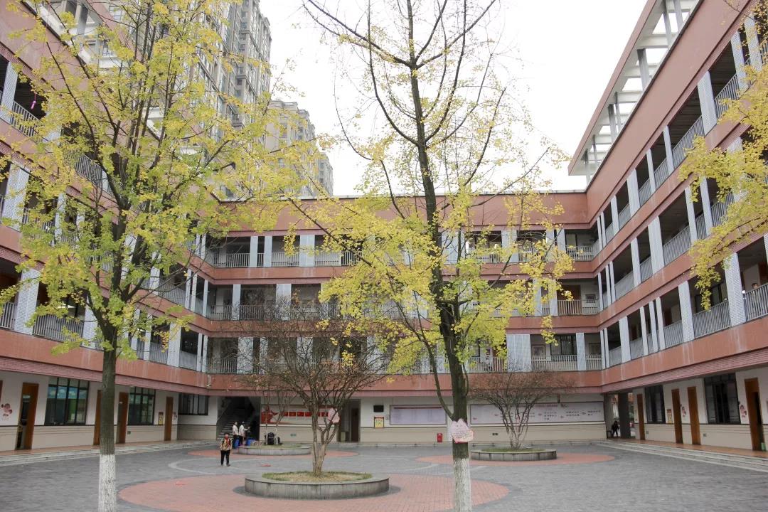 灏忔氮鎺㈡牎鏂板煄鍒嗘牎,灏忔氮鎺㈡牎宸濆ぇ