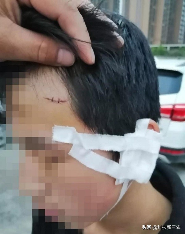 邓州二高中打人事件,邓州附近校园打人事件