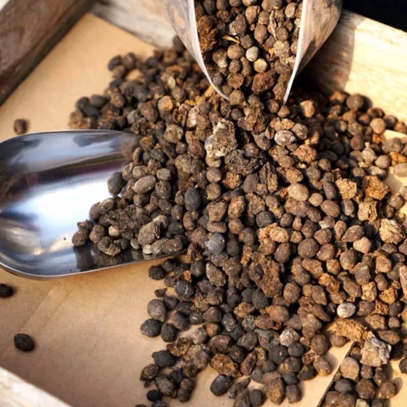 用土养花浇水土变硬了怎样松土,养花的土质为什么浇水会变硬