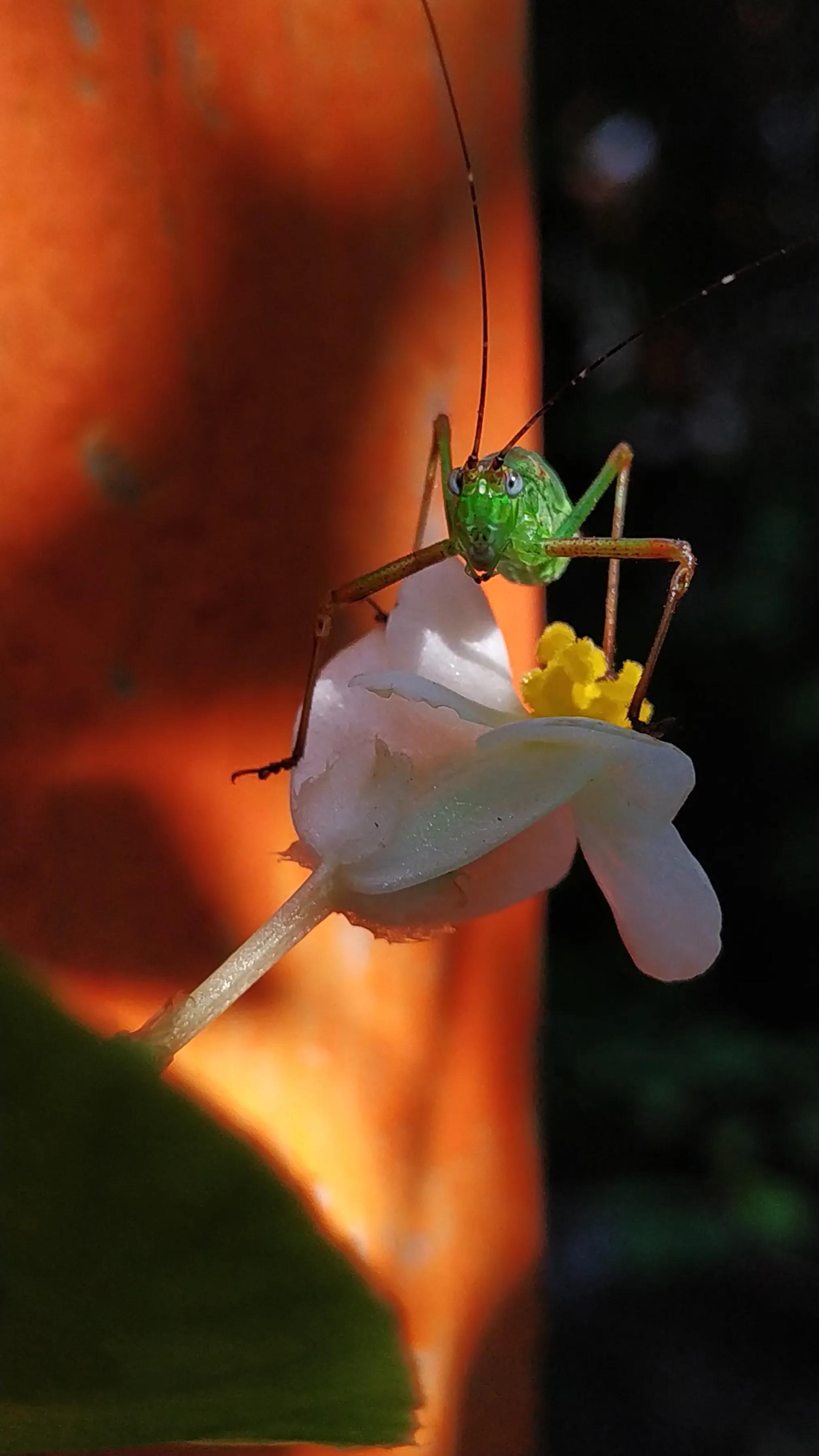 手拍世界投稿,手拍世界作品专集
