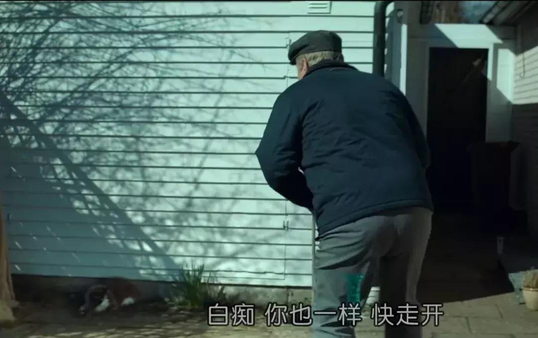 主人们不在家猫咪是怎么生活的,猫咪主人不在时猫咪有什么表现