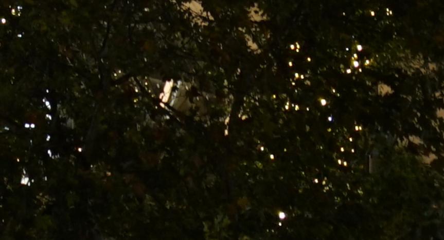 腾龙75-180与85定焦镜头,超值长焦定焦