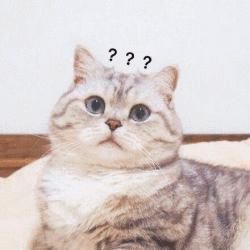 为什么发微信语音不好发送啊,微信发语音如何变好听