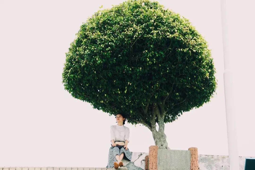 9号线上有什么景点吗,9号线游玩攻略大全