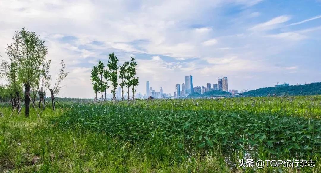长沙竟隐藏着这些世外桃源,其实长沙还藏着很多小众景点