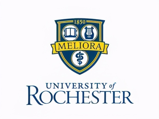 新常春藤大学,新常春藤