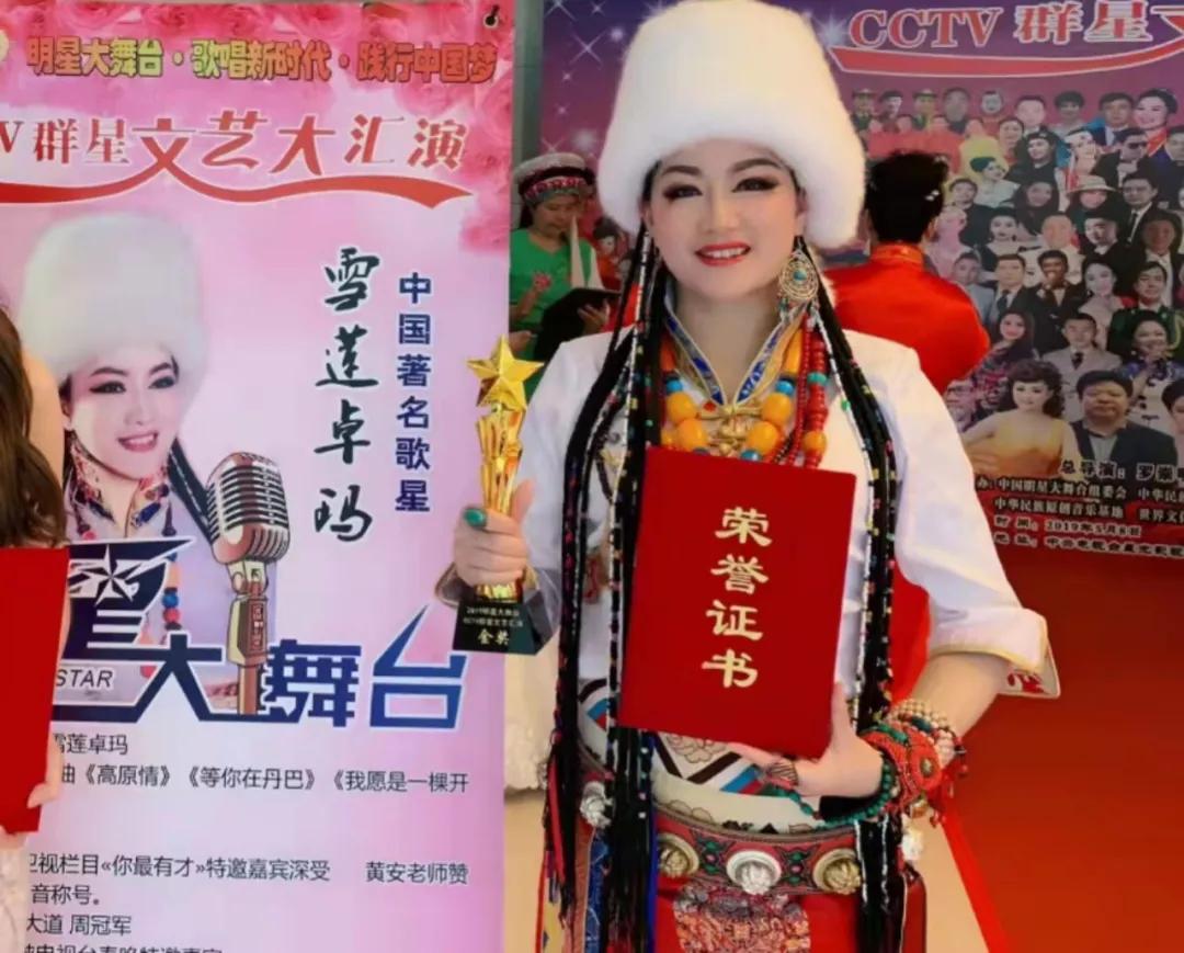 魅力中国中外歌唱家演唱会,魅力中国央视主持人