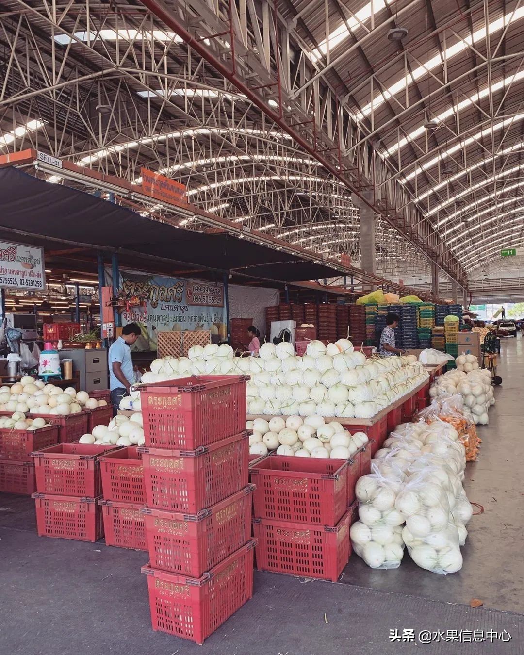 西双版纳水果市场榴莲 (上海亚洲最大的水果批发市场榴莲)