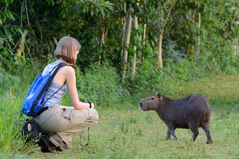 最大的鼠类动物,和猫一样大的长毛鼠小动物