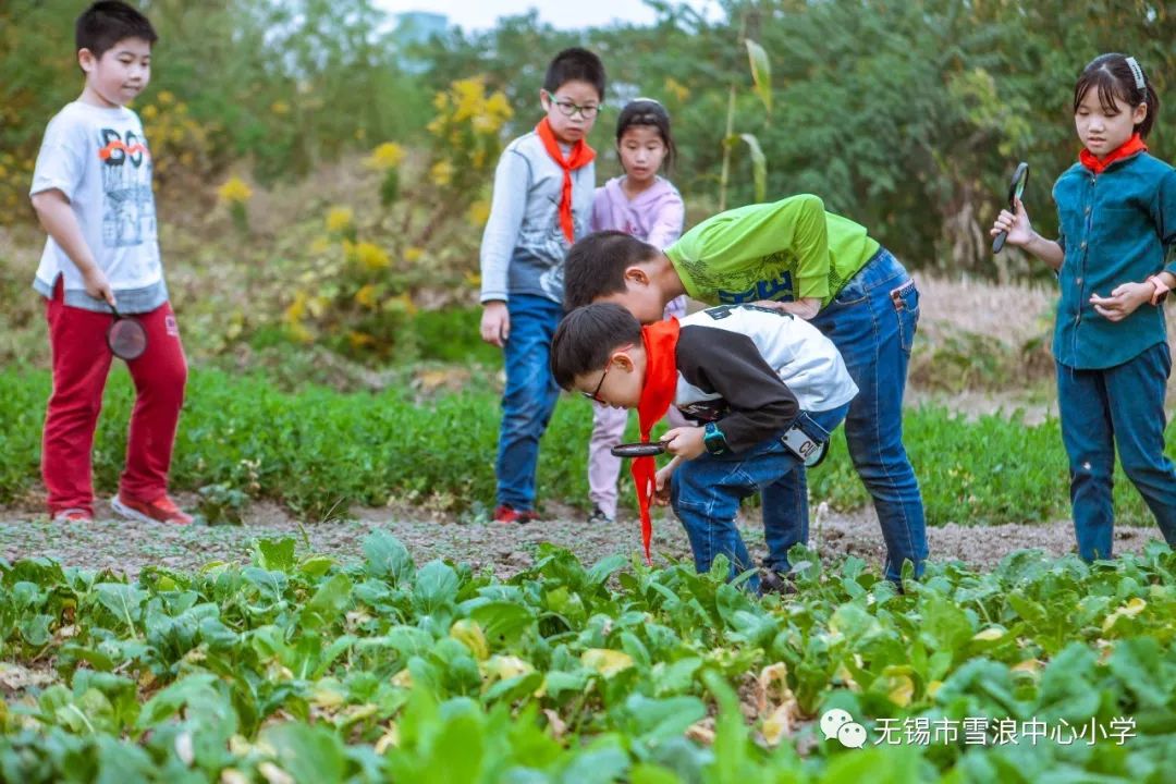 翻地、播种…无锡老小将课堂搬到了田间地头