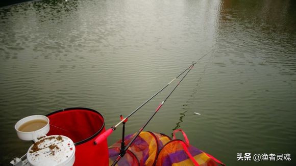 钓黑坑鱼不开口怎么办,黑坑鱼不开口钓不到怎么解决
