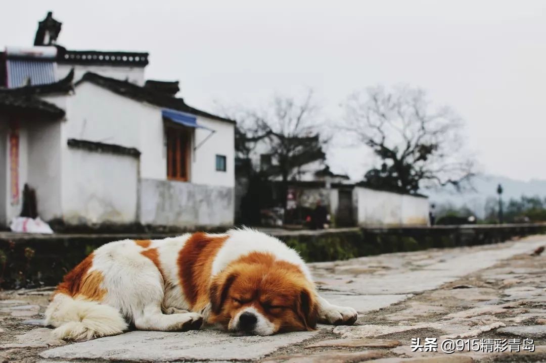 安徽很低调的一个省,安徽被严重低估的景点