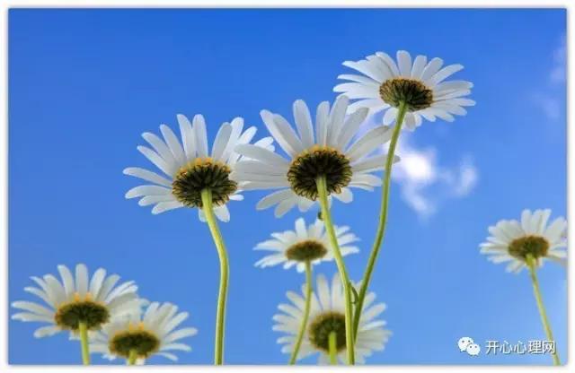 常见的有规律的事物,一些规律完整版