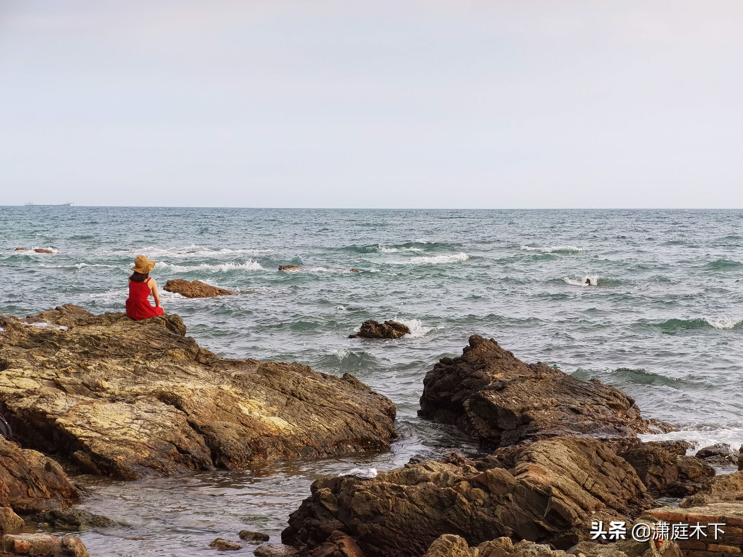 鹏城风光杂集，海与大学