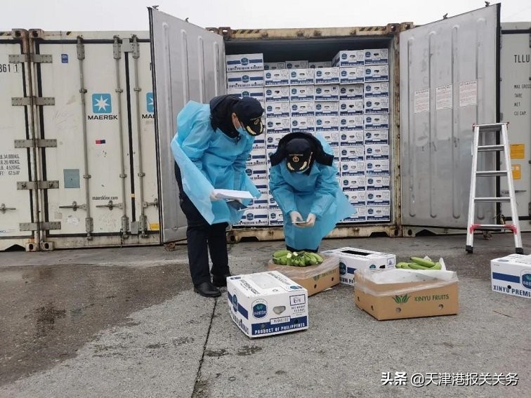 吉尔吉斯斯坦清关公司,吉尔吉斯斯坦最专业的清关公司