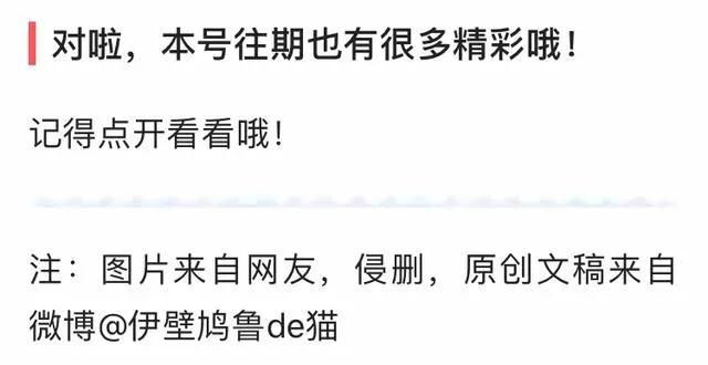 多肉的100个常见品种,10种公认的多肉