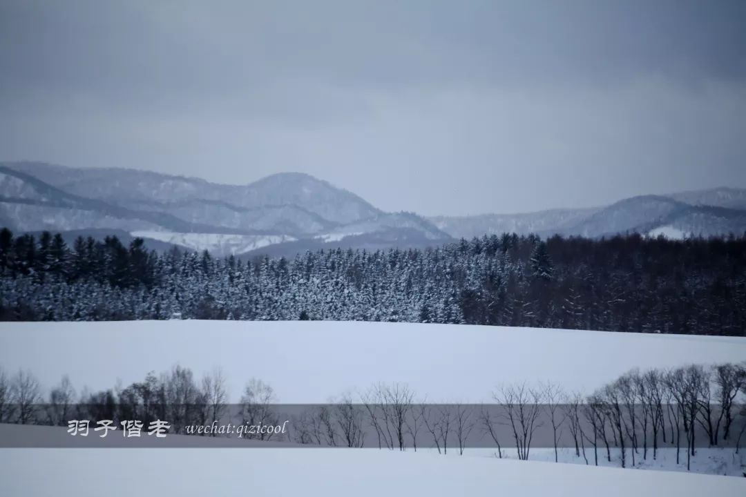 老实说,这一趟北海道就是为了拍好看的照片去的