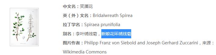柳演锡申贤彬为什么叫wintergarden,罗英锡曺圭贤