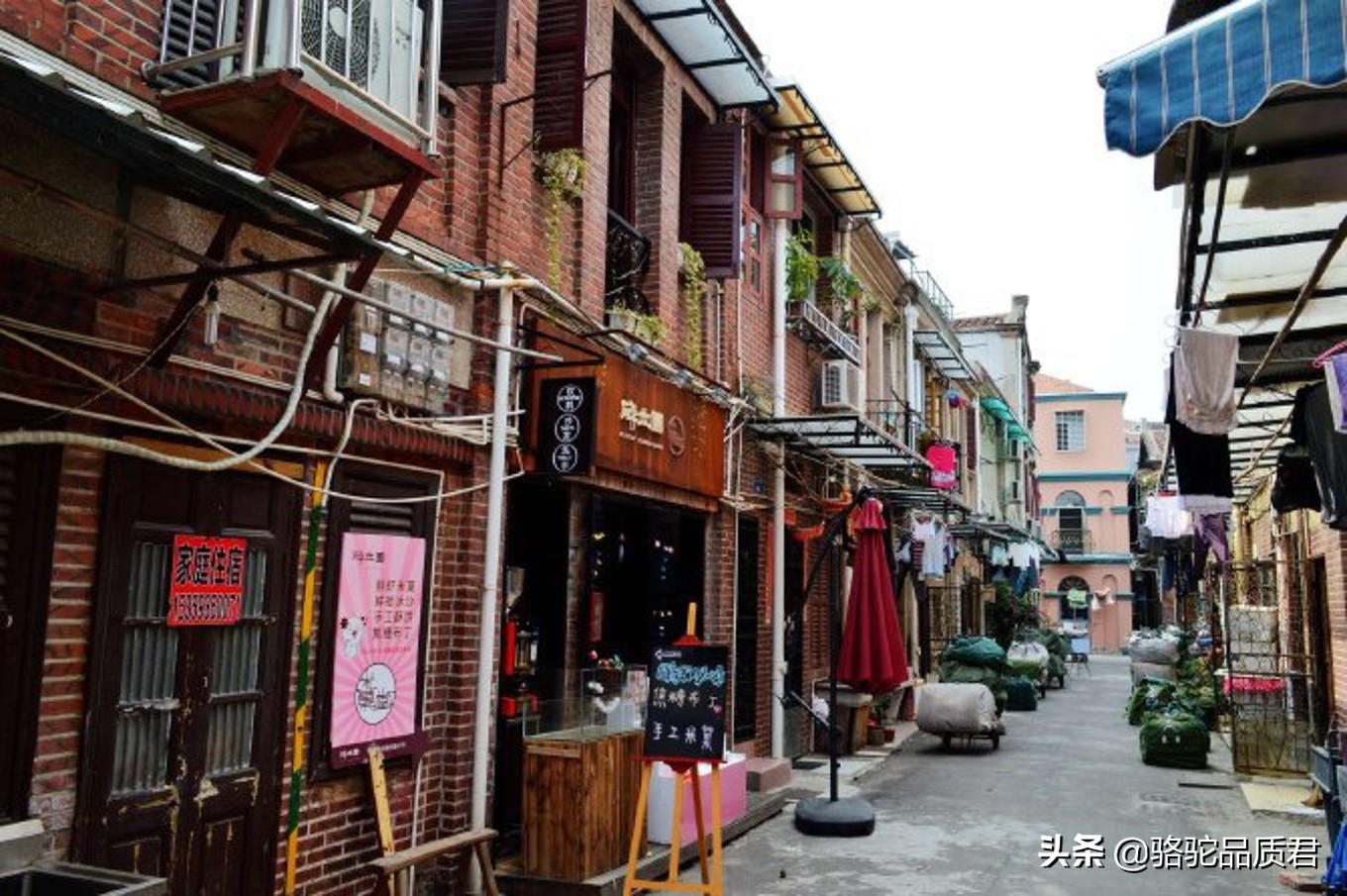 厦门海边之旅,厦门小众旅游体验