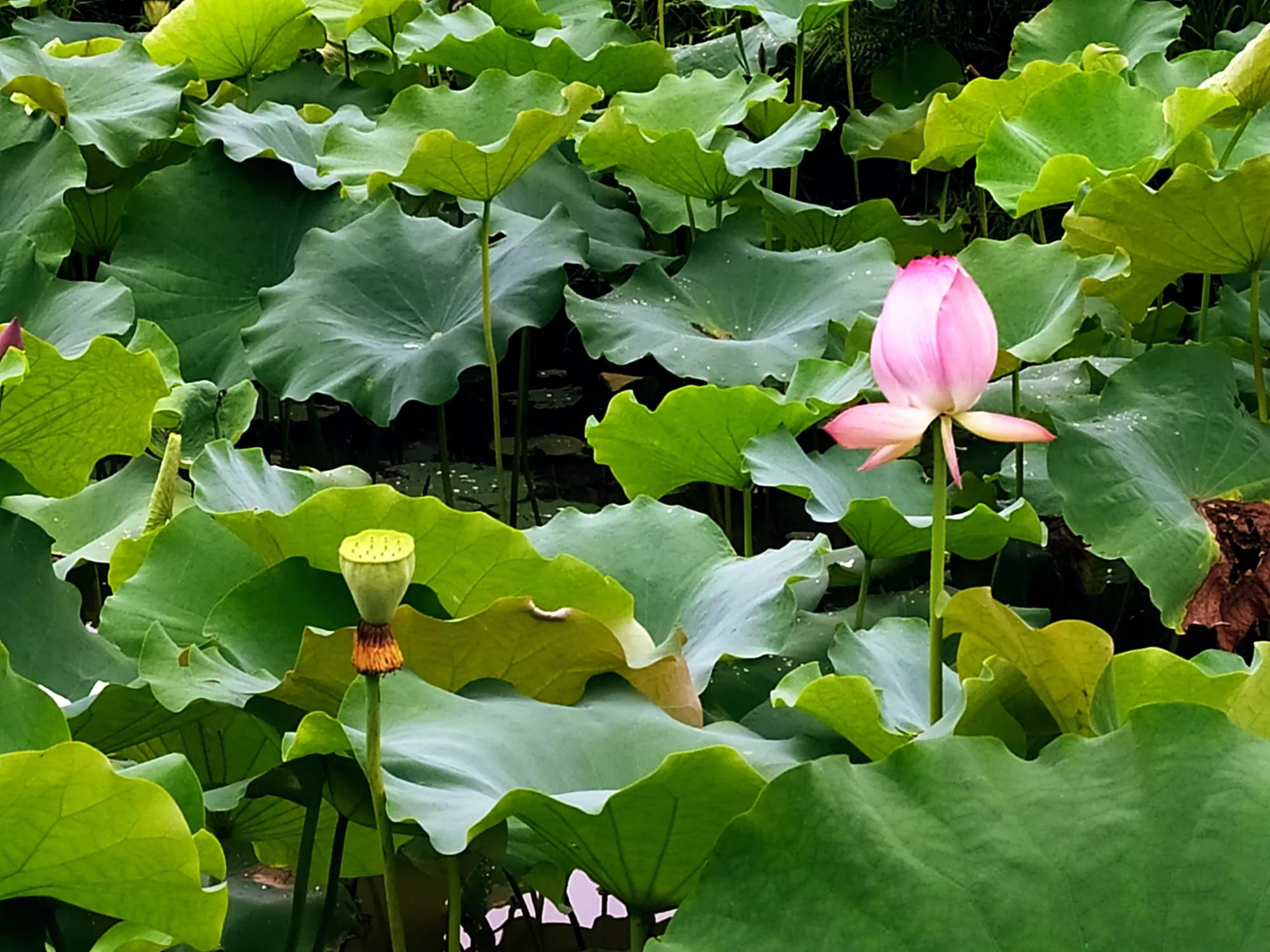 科学爱她,健康爱她