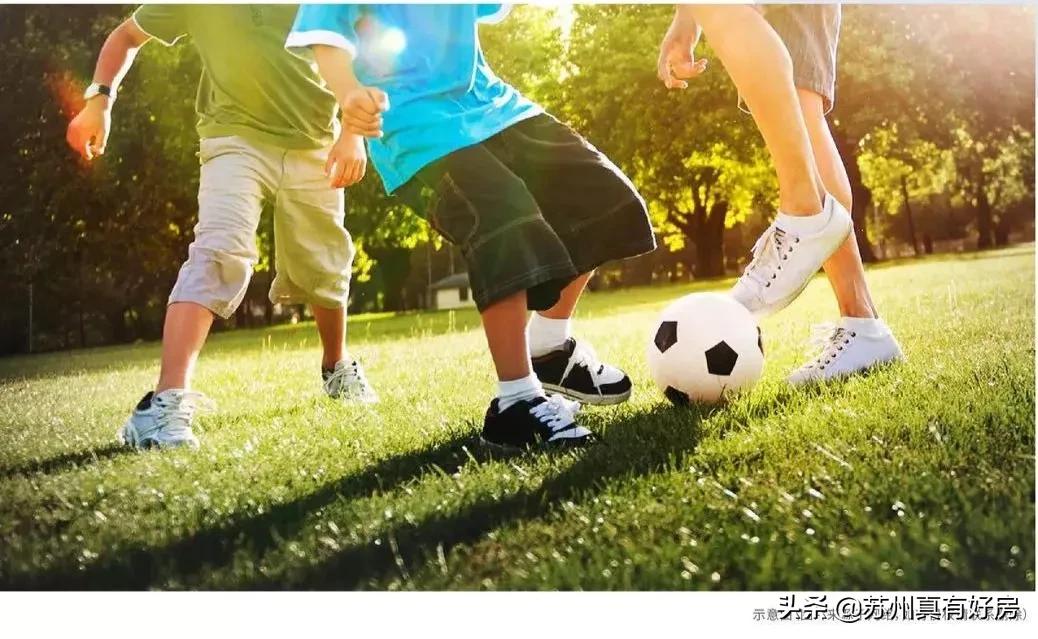 园区未来新盘,园区新楼盘最新消息