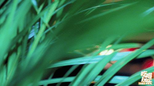 新乡关帝庙光音酒吧,新乡关帝庙文化商业街酒吧