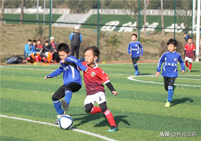 陕西青少年足球联赛宝鸡,2019年宝鸡市青少年足球锦标赛