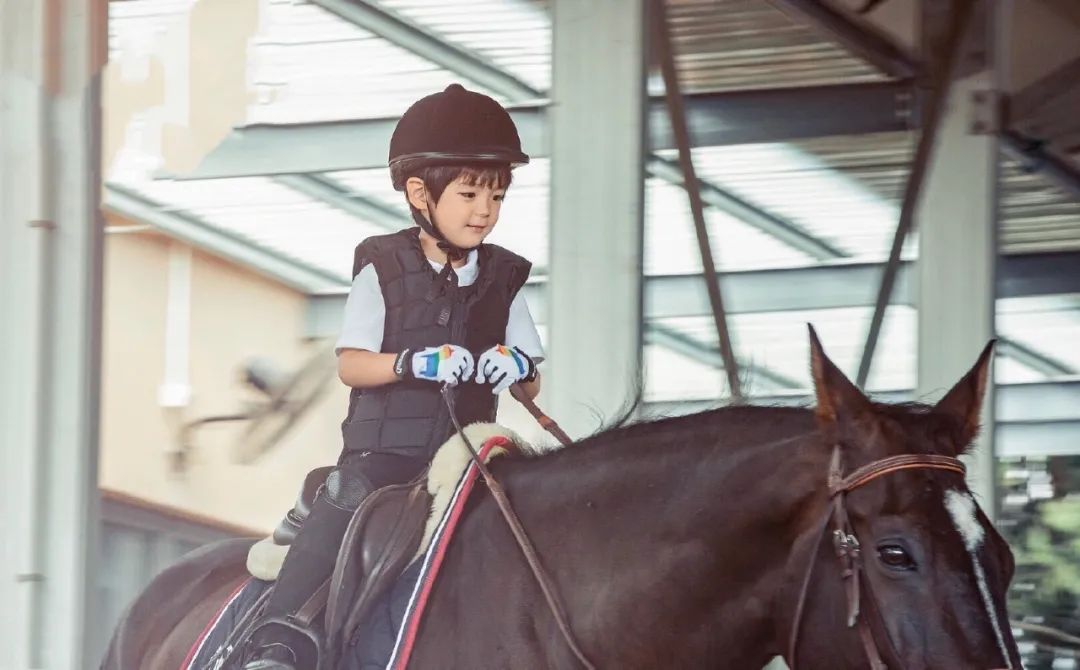 许幻山详细解析,许幻山丢高尔夫球