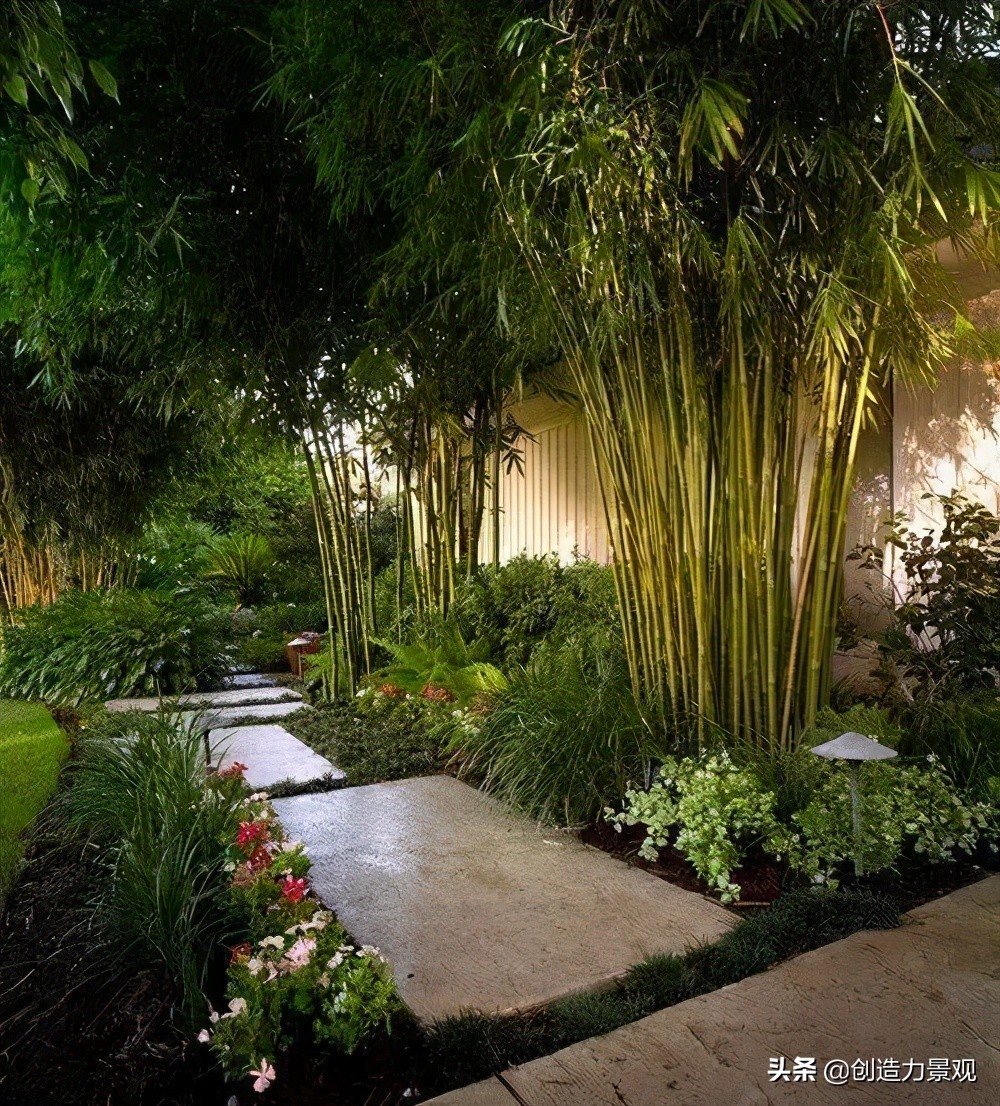 南方庭院种植什么竹子品种最好,庭院适合种什么竹子可以做隔断