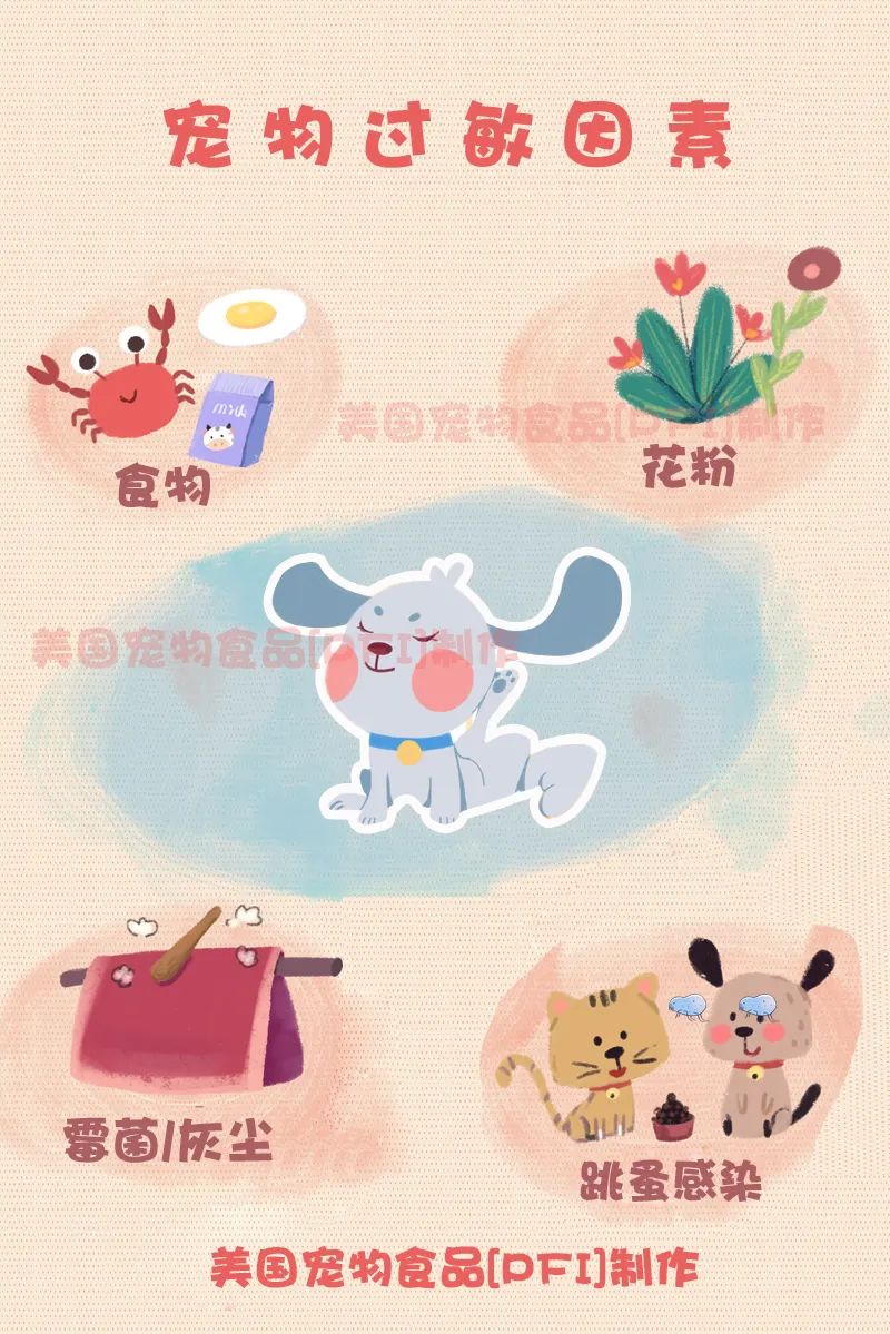 对宠物过敏又想养宠物怎么办,怎么从根本上解决宠物过敏