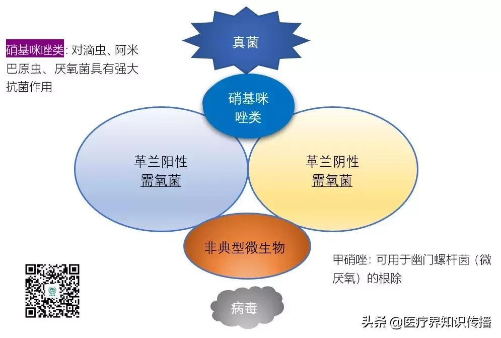 抗菌药谱大全及图片,抗菌谱图解大全