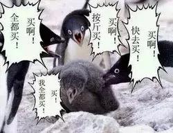 黑五购物大战视频,黑五购物季