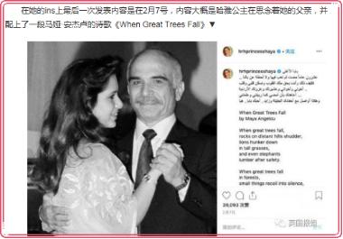 迪拜王妃离婚视频完整版,迪拜王妃为什么会离婚