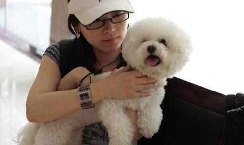 比熊对主人叫怎么回事,为什么主人回来狗会激动