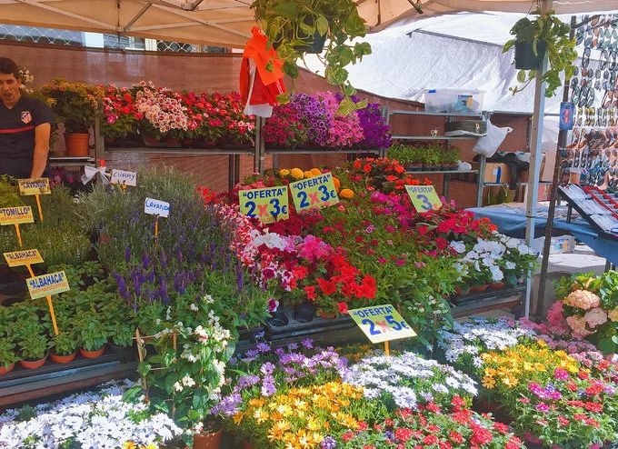 马德里小众玩法：5欧游古迹，复古集市，打折村，皇马主场…