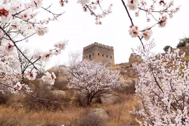 万里长城位于哪个地方,万里长城在哪省哪市哪县