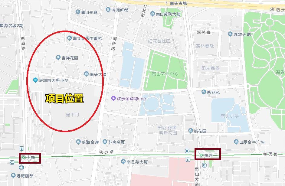 南山区大新南片区规划,南山区大新南旧改最新消息