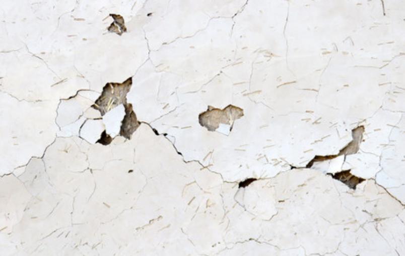 幼犬啃墙皮吃石头,金毛幼犬啃墙皮吃石灰