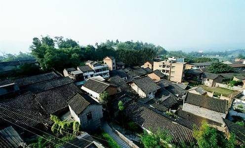 来凤鱼璧山兔蔡家店,来凤鱼璧山兔正宗做法