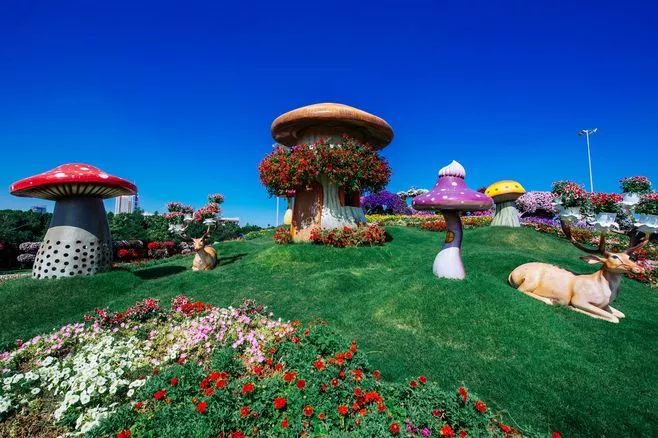 女神节有无与伦比的美丽,女神节浪漫游花海