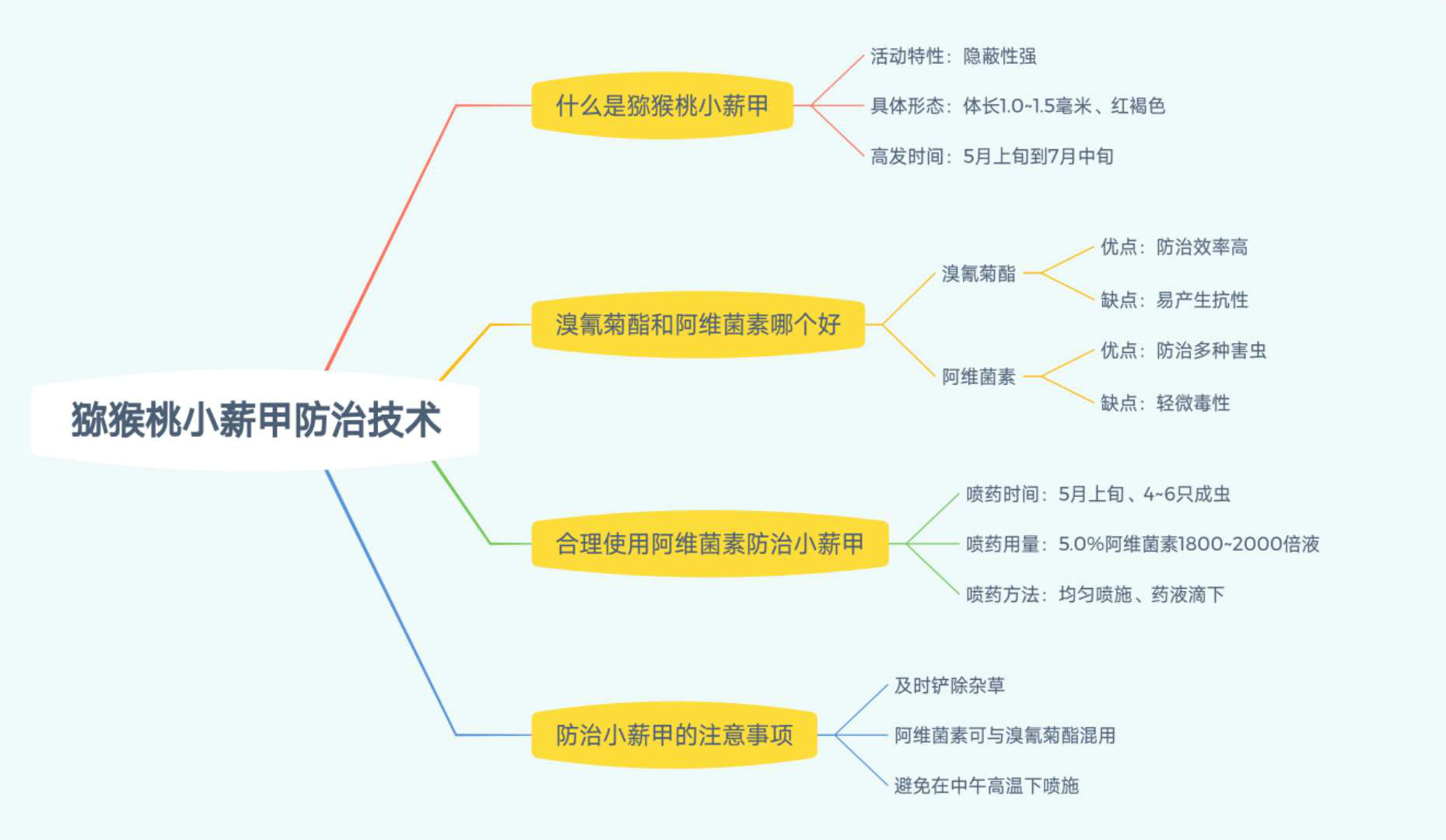 果实防日灼最好的方法,果实保卫战