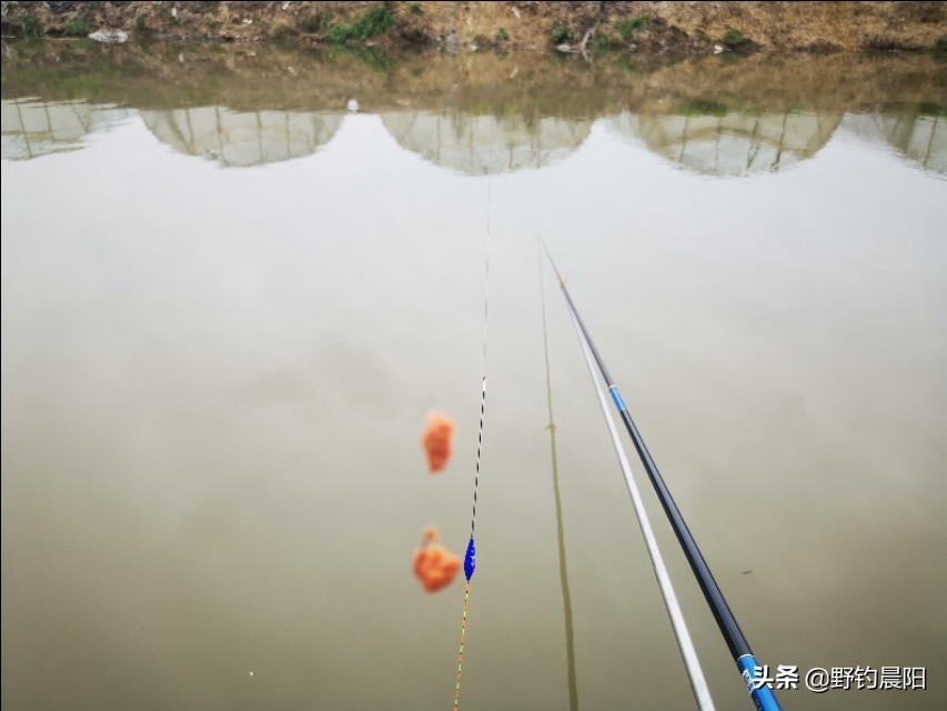 最好用的饵料配方大全,老钓手不愿分享的秘密饵料配方