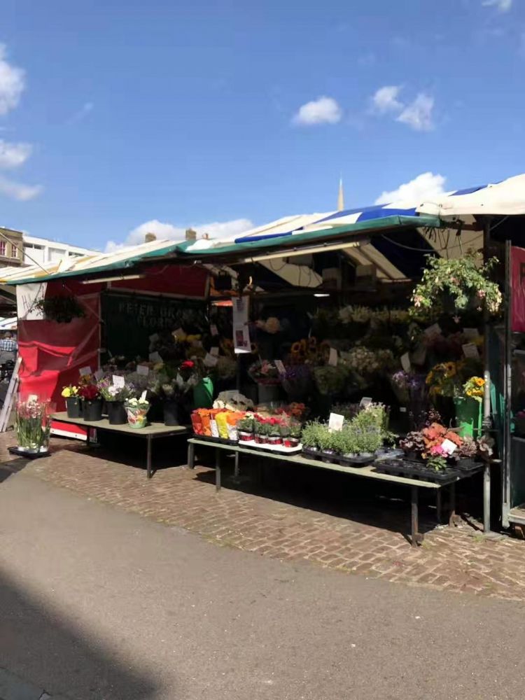 吸引了大批留学生的邓迪大学,究竟好在哪里