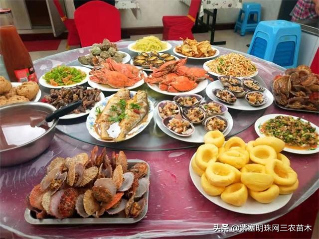 爱上一座城爱上一个人短视频,长岛大壮渔家民宿团购