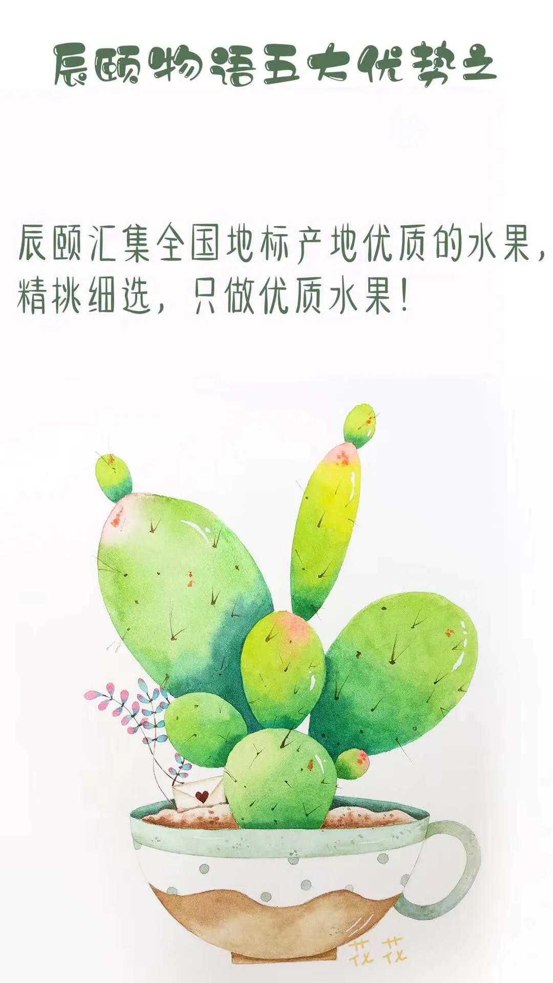 辰颐物语水果靠谱吗,辰颐物语与实体店的水果有区别吗