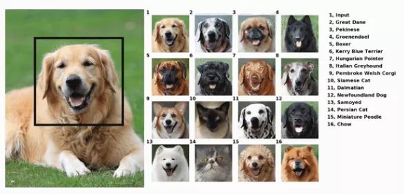 画漫画免费阅读,画小说漫画用什么工具