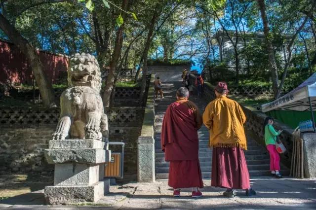 去五台山10大忠告,去五台山不需要任何理由