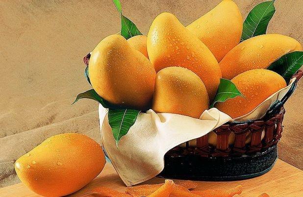 挑选芒果的几个技巧澳芒,芒果的挑选