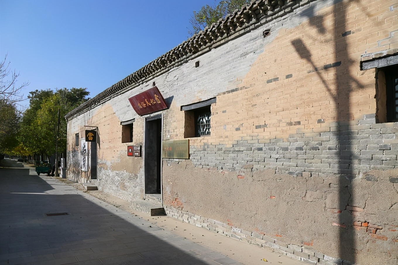 滨州有冬枣吗,产自哪里的冬枣最好吃