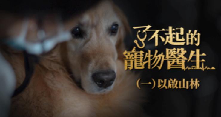 什么都能治的宠物医生,了不起的宠物医生观后感